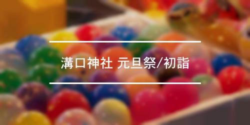 溝口神社 元旦祭 初詣 年 祭の日