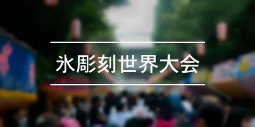 祭の日 氷彫刻世界大会