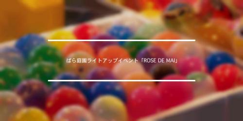高石シーサイドフェスティバル 21年 祭の日