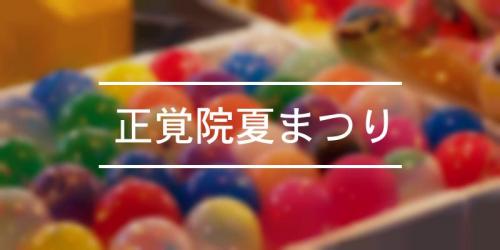 丸亀城正月三が日おもてなし 21年 祭の日