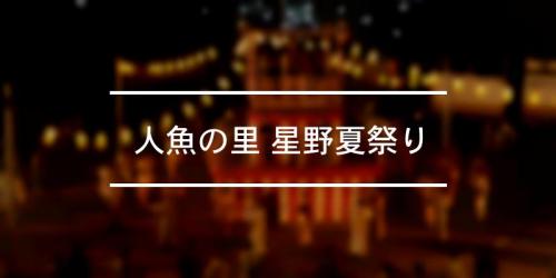 波照間島のムシャーマ 21年 祭の日 波照間島のムシャーマ 21年 祭の日