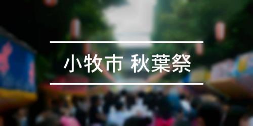小牧山さくらまつり 21年 祭の日