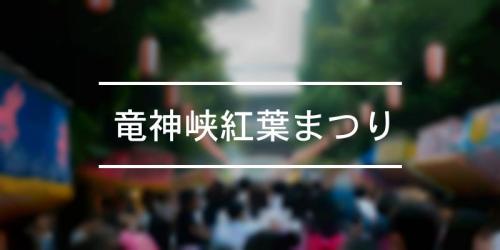 竜神峡鯉のぼりまつり 21年 祭の日