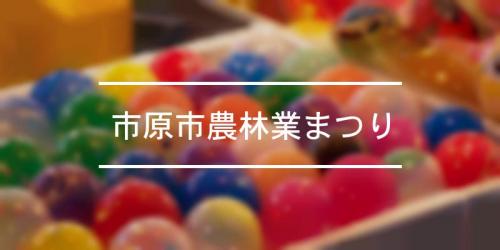 市津市民祭り 市津商店会夏祭り 2021年 祭の日