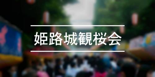 姫路城夜桜会 22年 祭の日