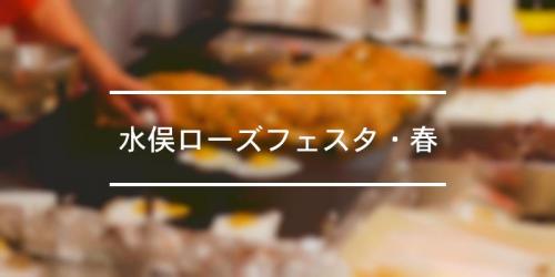 水俣ローズフェスタ 春 22年 祭の日