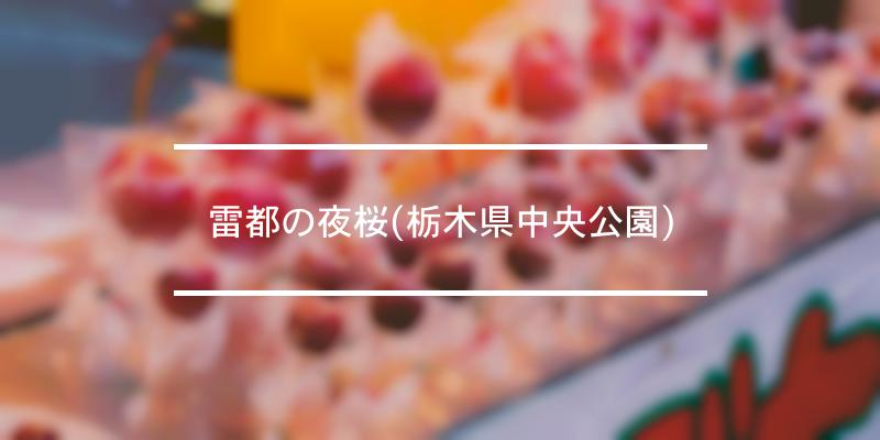 雷都の夜桜 栃木県中央公園 21年 祭の日