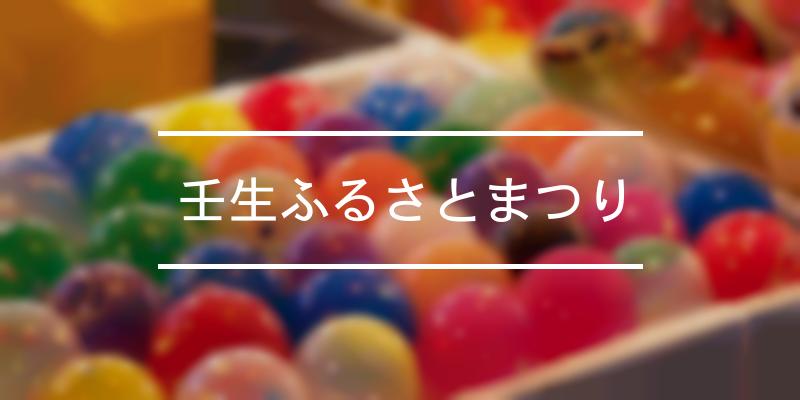 壬生ふるさとまつり 21年 祭の日
