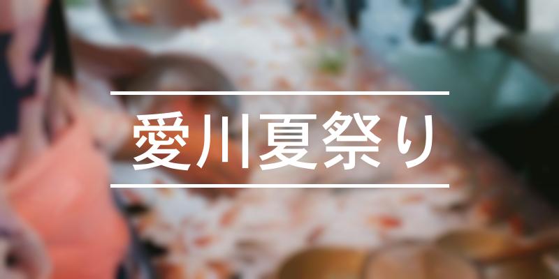 愛川夏祭り 21年 祭の日