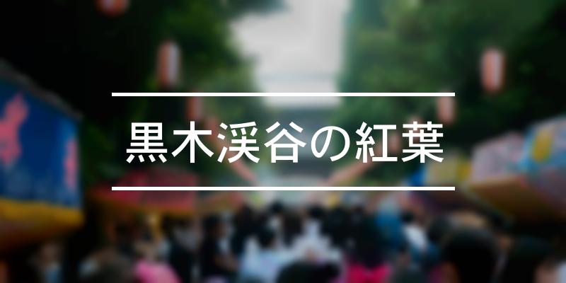 黒木渓谷の紅葉 2021年 祭の日