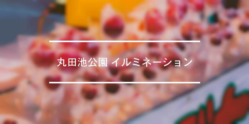 丸田池公園 イルミネーション 21年 祭の日 糸島市