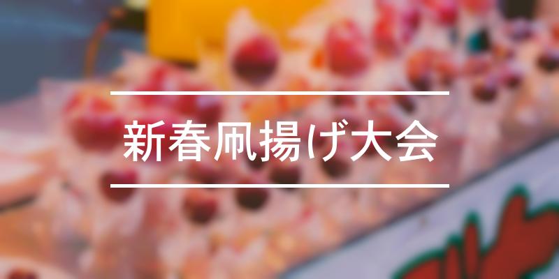 新春凧揚げ大会 22年 祭の日