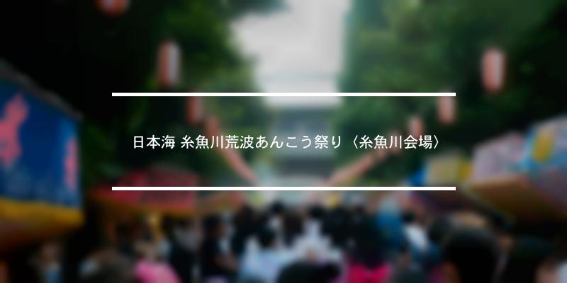 日本海 糸魚川荒波あんこう祭り 糸魚川会場 21年 祭の日
