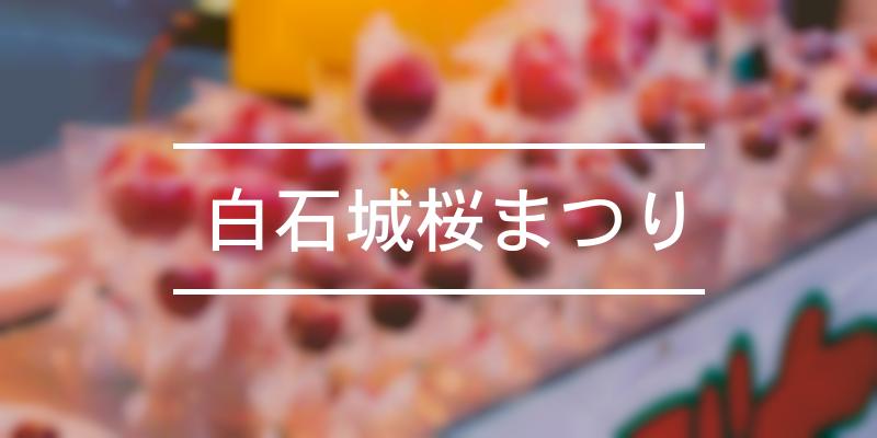 白石城桜まつり 21年 祭の日