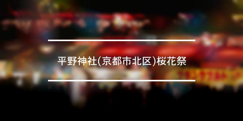 平野神社 京都市北区 桜花祭 22年 祭の日