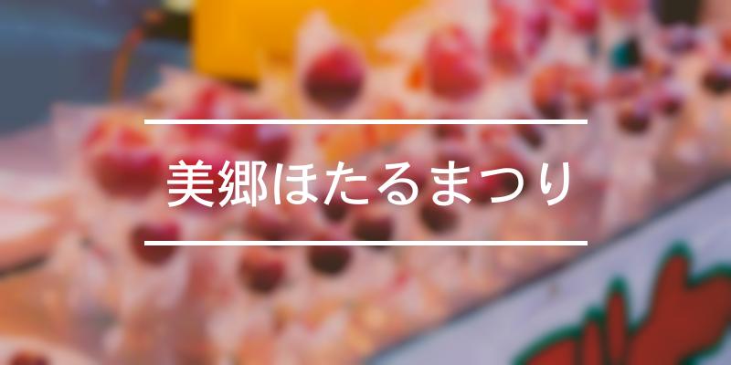 美郷ほたるまつり 21年 祭の日