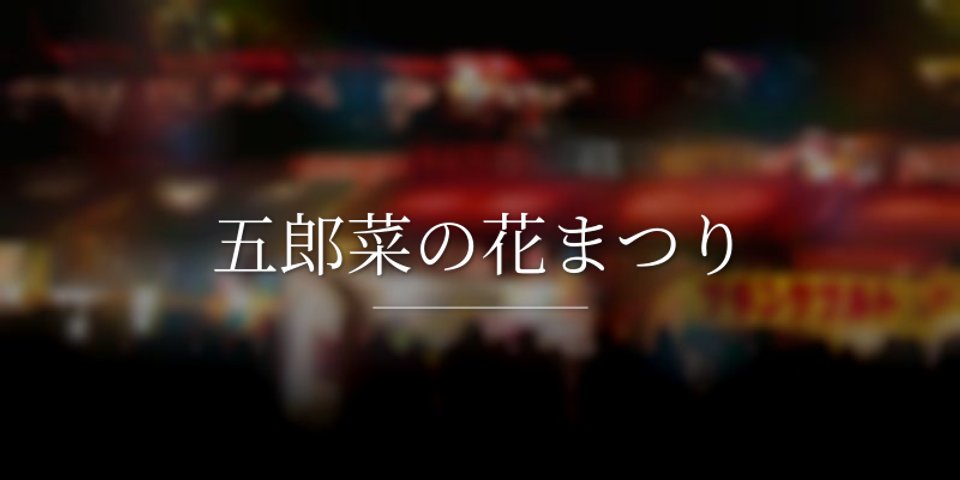 五郎菜の花まつり