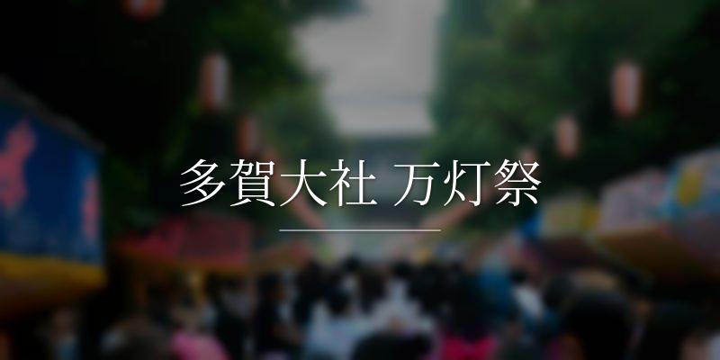 多賀大社 万灯祭