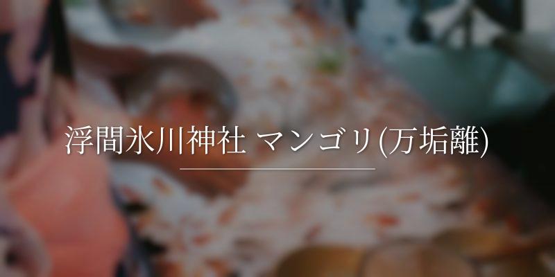 浮間氷川神社 マンゴリ(万垢離)