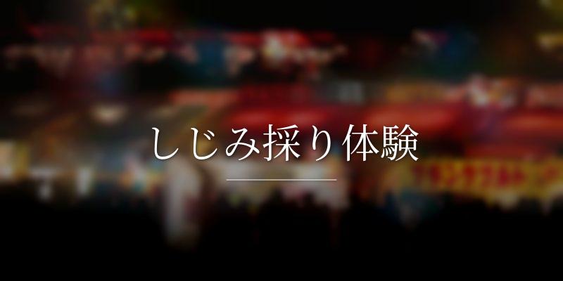 しじみ採り体験