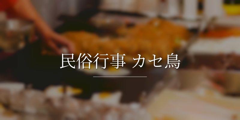 民俗行事 カセ鳥