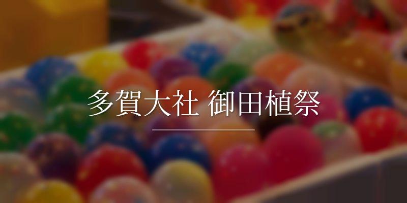 多賀大社 御田植祭