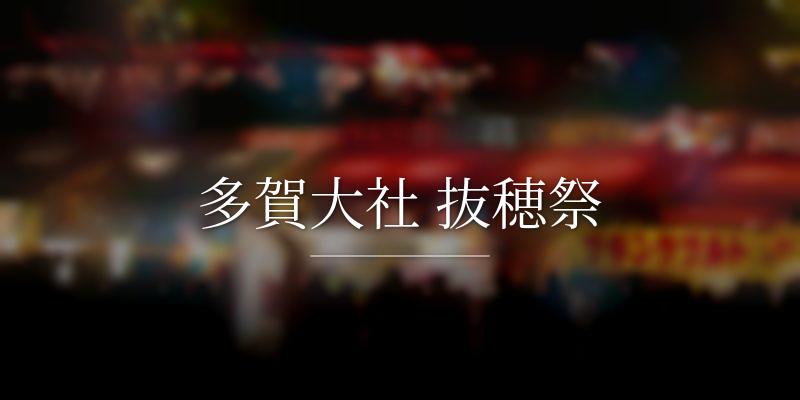 多賀大社 抜穂祭の画像