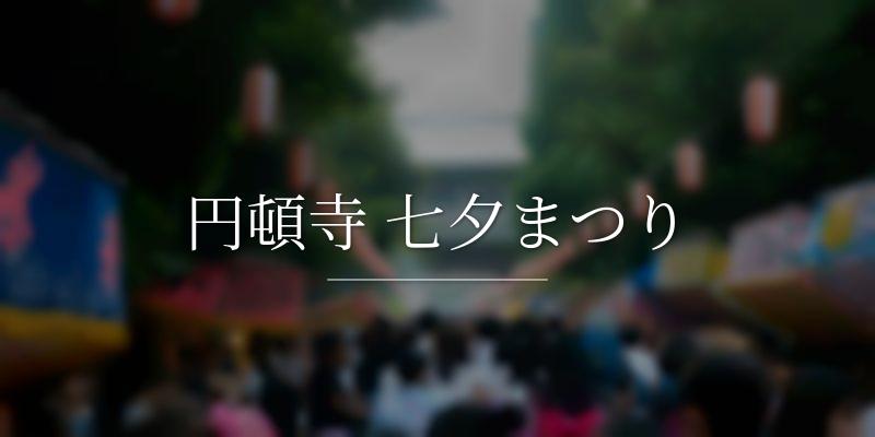 円頓寺 七夕まつり