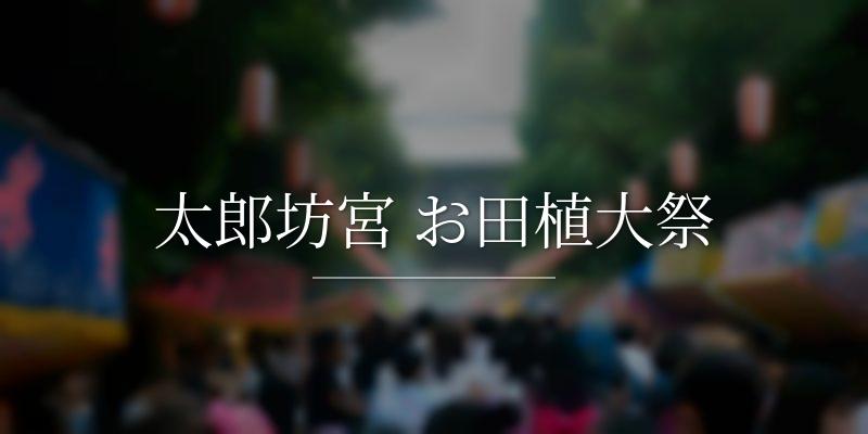太郎坊宮 お田植大祭