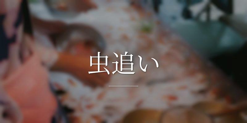 虫追い