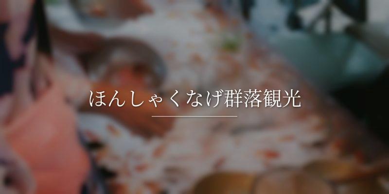 ほんしゃくなげ群落観光