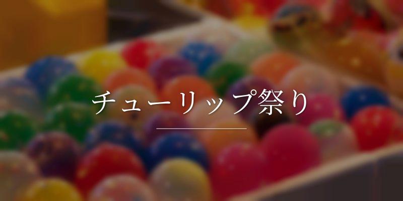 チューリップ祭り