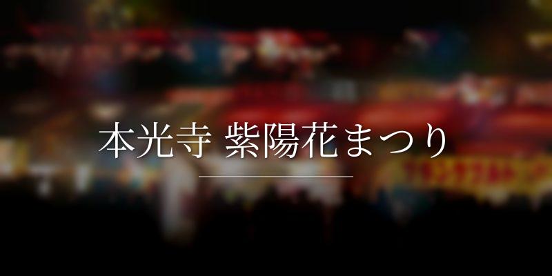 本光寺 紫陽花まつり
