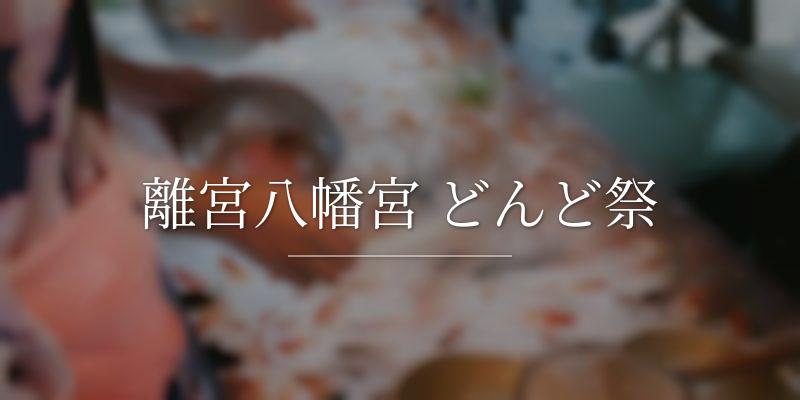 離宮八幡宮 どんど祭