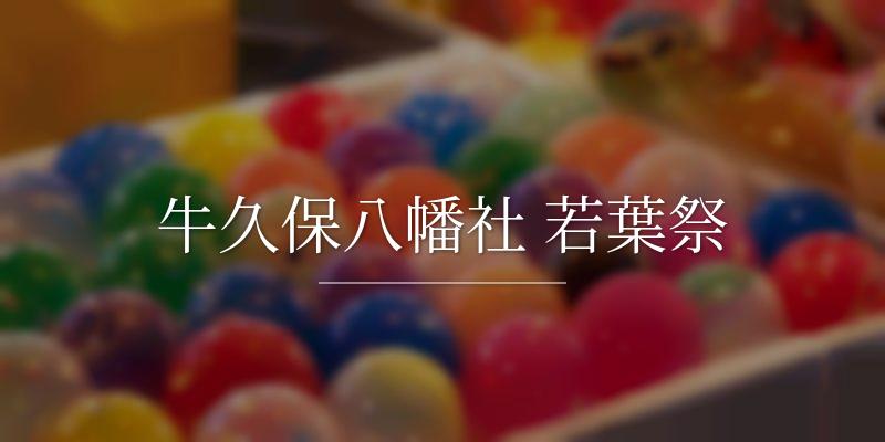 牛久保八幡社 若葉祭