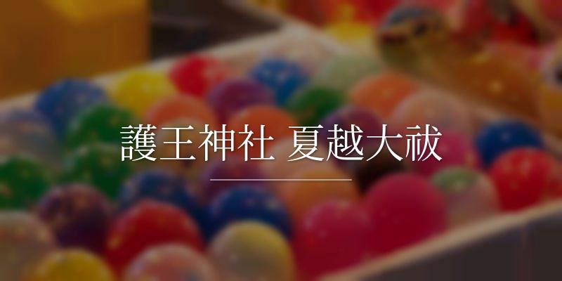 護王神社 夏越大祓