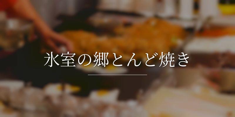 氷室の郷とんど焼き