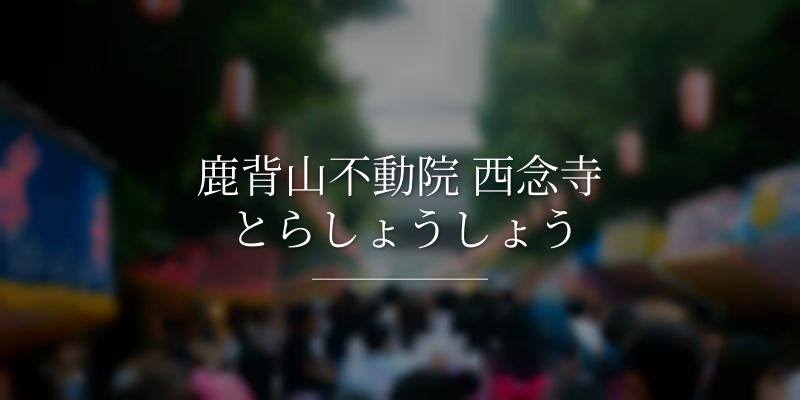 鹿背山不動院 西念寺 とらしょうしょう