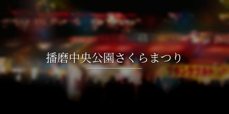 播磨中央公園さくらまつり