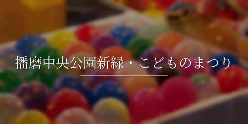 播磨中央公園新緑・こどものまつり
