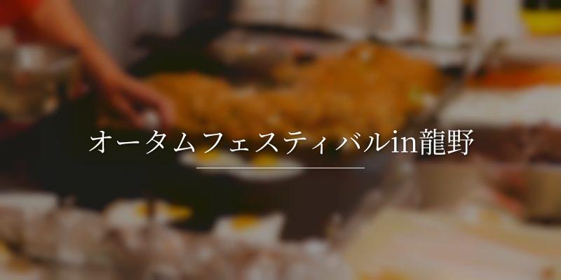 オータムフェスティバルin龍野