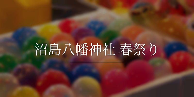 沼島八幡神社 春祭り