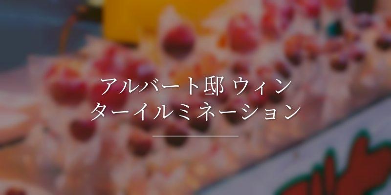 アルバート邸 ウィンターイルミネーション