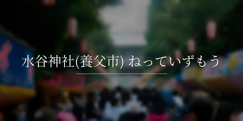 水谷神社(養父市) ねっていずもう