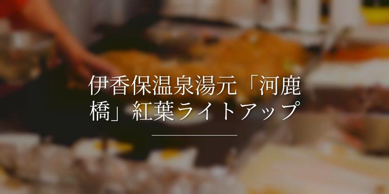 伊香保温泉湯元「河鹿橋」紅葉ライトアップ