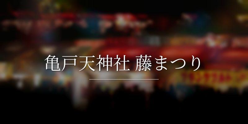 亀戸天神社 藤まつり