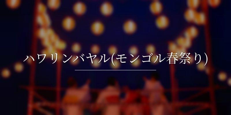 ハワリンバヤル(モンゴル春祭り)
