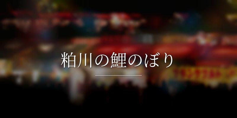 粕川の鯉のぼり