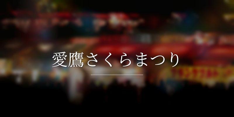 愛鷹さくらまつり
