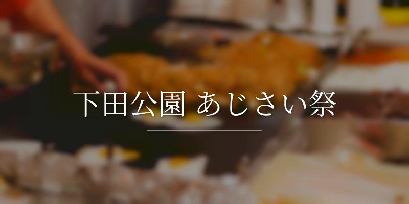 下田公園 あじさい祭